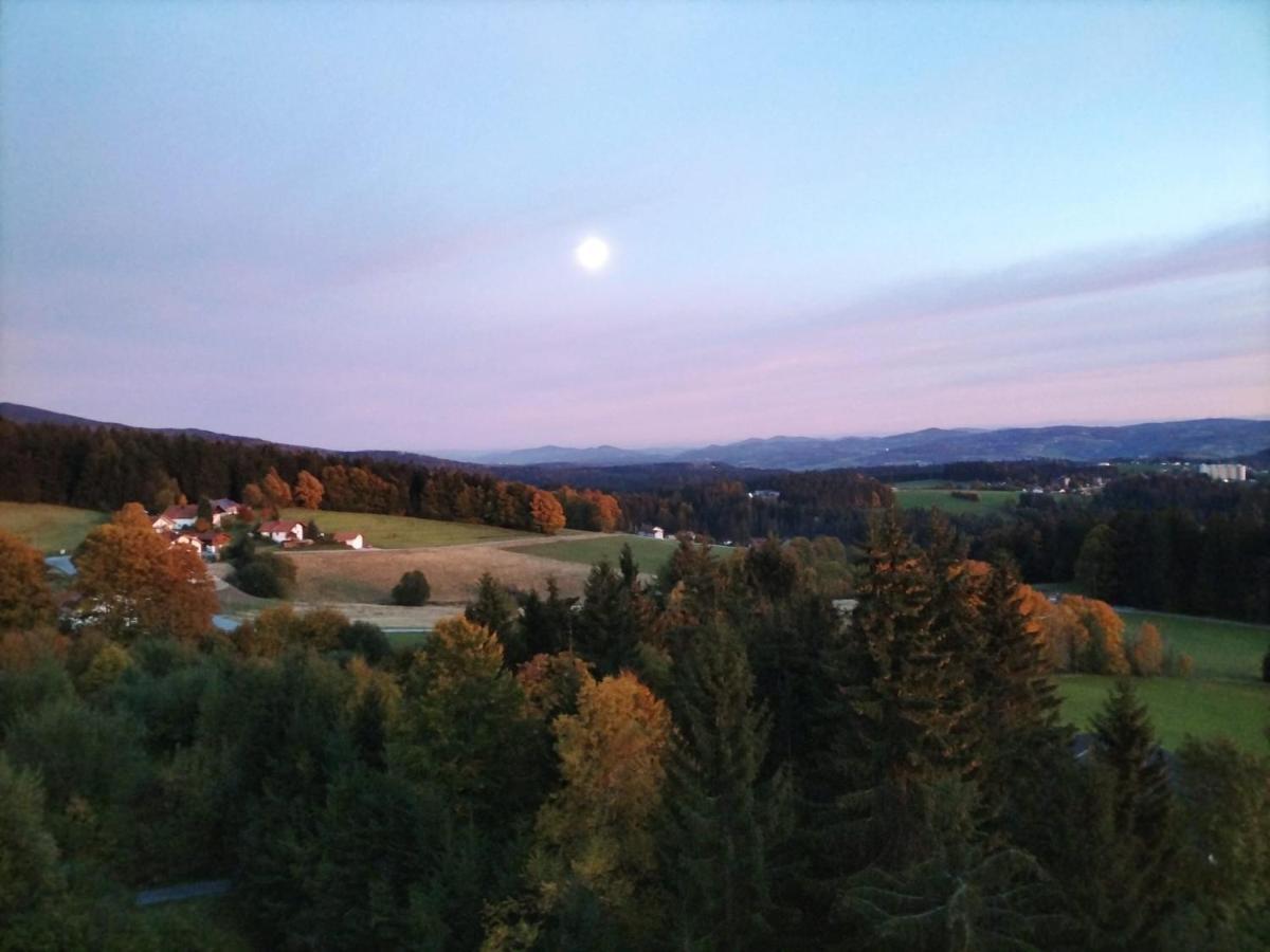 Panorama Bayerwald Apartment Neureichenau Exterior foto